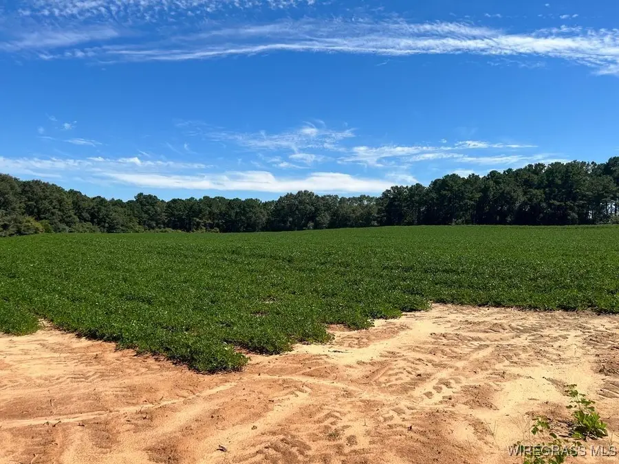 72.75 ac. Boll Weevil Circle, Enterprise, AL 36330 - Image #3