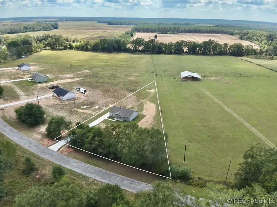 436 E County Road 16, Hartford, AL 36344 - Image #2