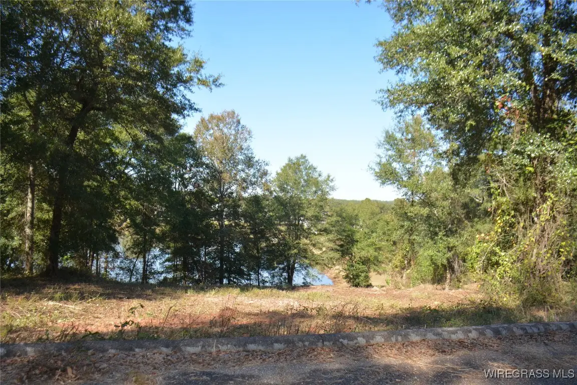 TBD Meriwether Road, Enterprise, AL 36330 - Image #1
