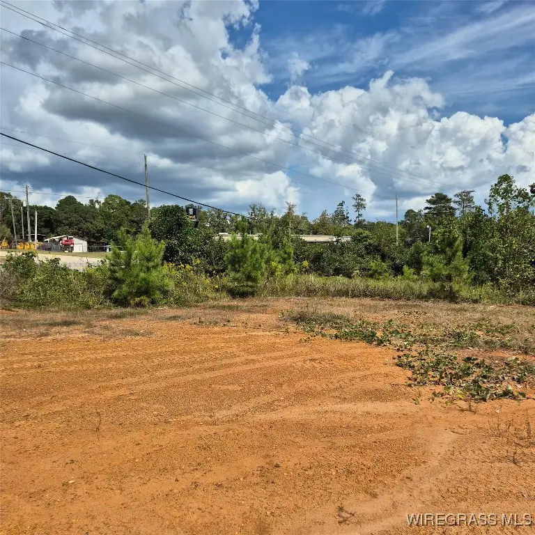 0 Front Street W, Evergreen, AL 36401 - Image #3