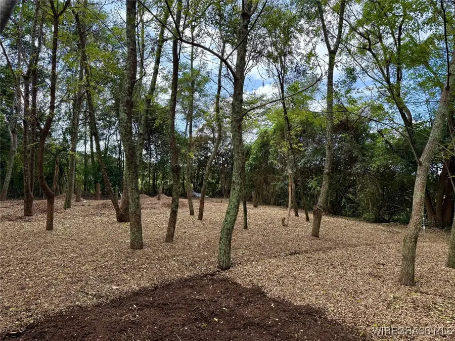 914 C Rowe Road, Slocomb, AL 36375 - Image #2