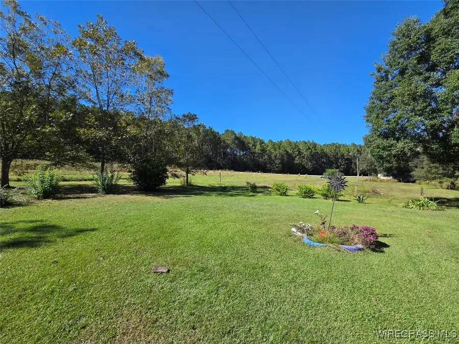 7257 State Highway 153, Samson, AL 36477 - Image #2
