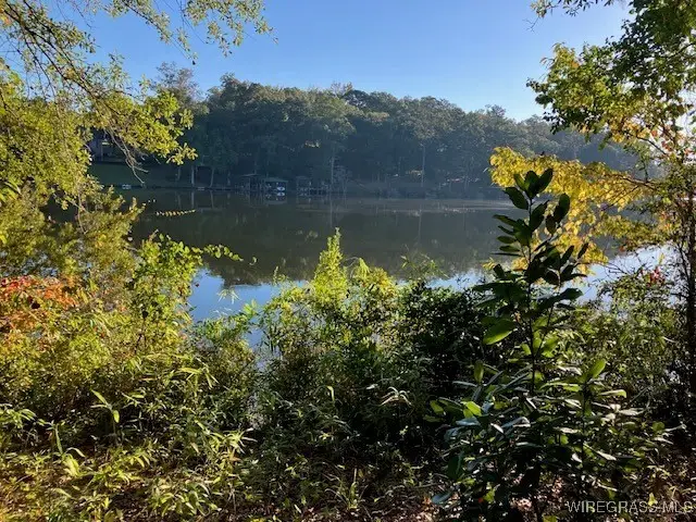 Lot 1 Sunshine Road, Andalusia, AL 36421 - Image #3