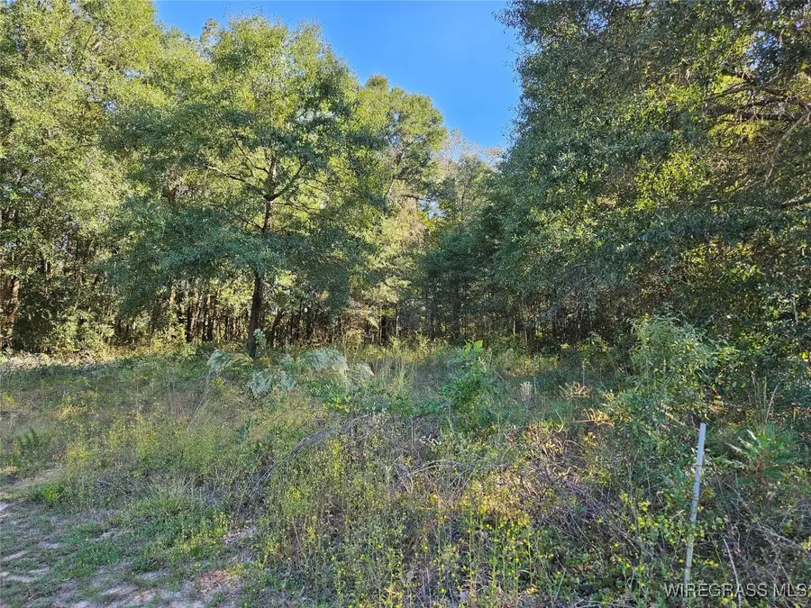 0 Phyllis Avenue, Enterprise, AL 36330 - Image #3