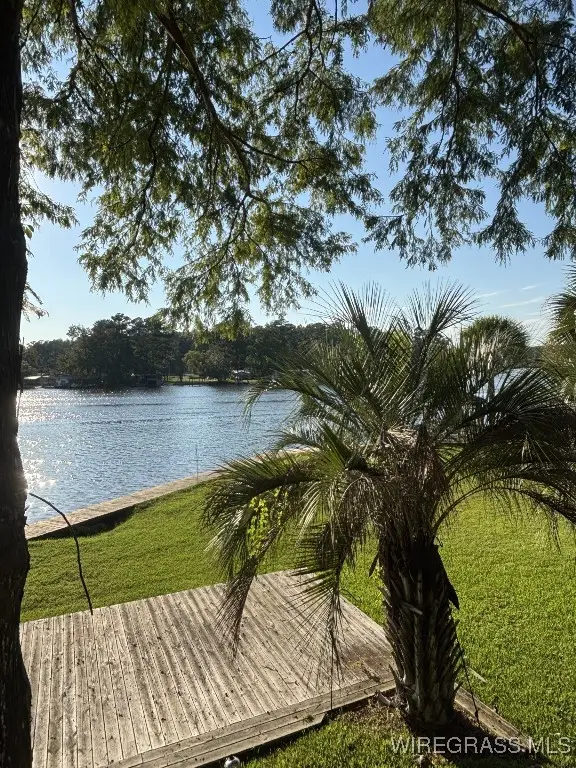 15495 Dunns Bridge Road, Andalusia, AL 36421 - Image #3