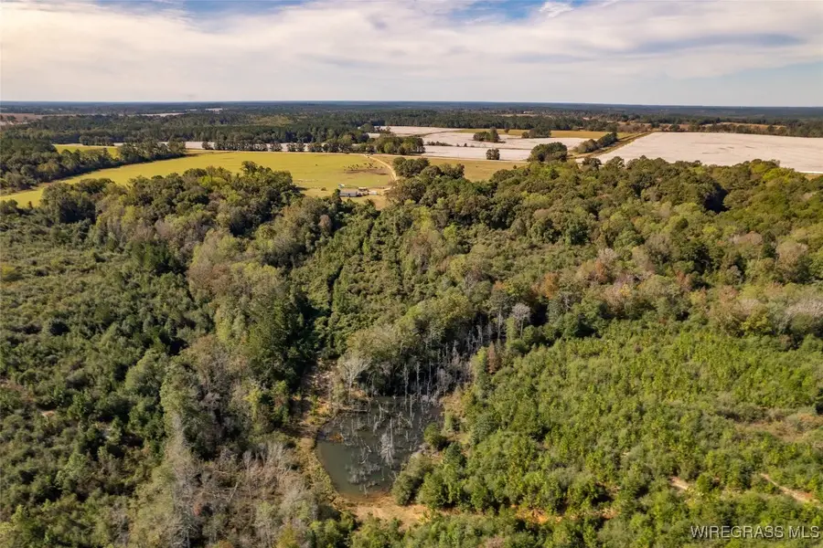 7404 Highway 141, Elba, AL 36323 - Image #3