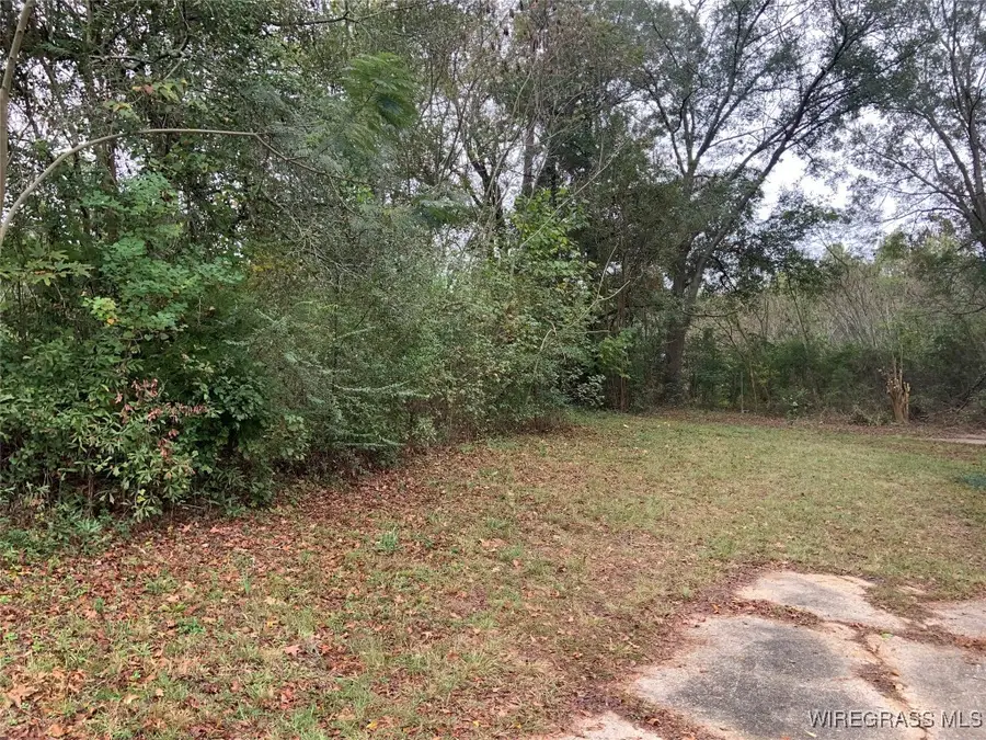 139 Brookfield Road, Ozark, AL 36360 - Image #3