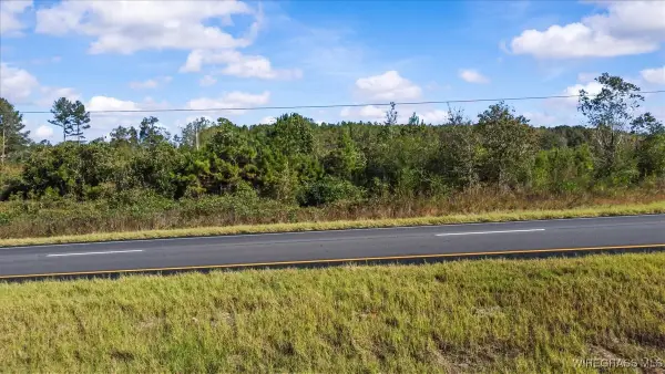 TBD Highway 84, New Brockton, AL 36351