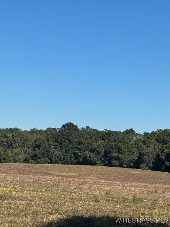 429 E Skyline Avenue, Geneva, AL 36340 - Image #2