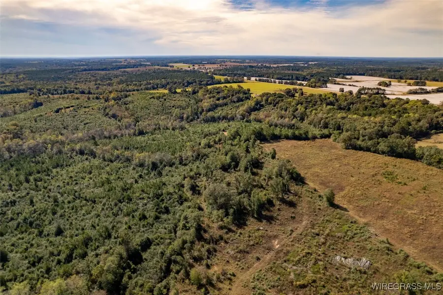 7404 Highway 141, Elba, AL 36323 - Image #2