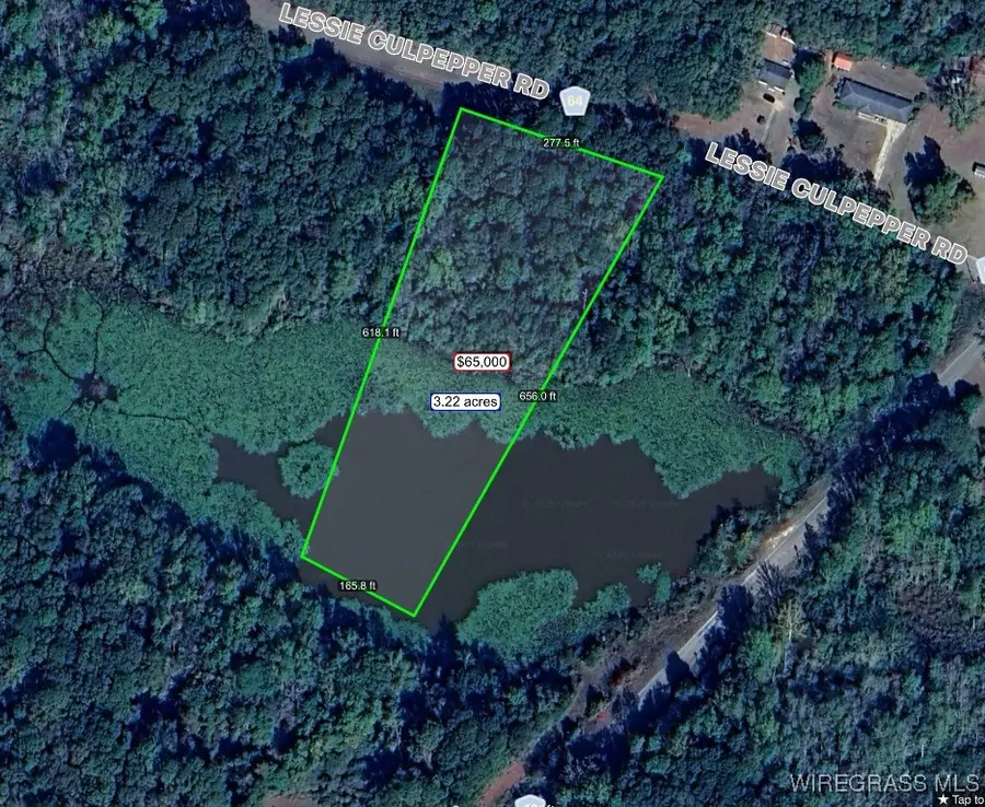 675 Lessie Culpepper Road, Coffee Springs, AL 36318 - Image #2
