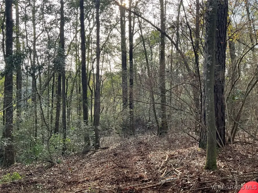 675 Lessie Culpepper Road, Coffee Springs, AL 36318 - Image #3