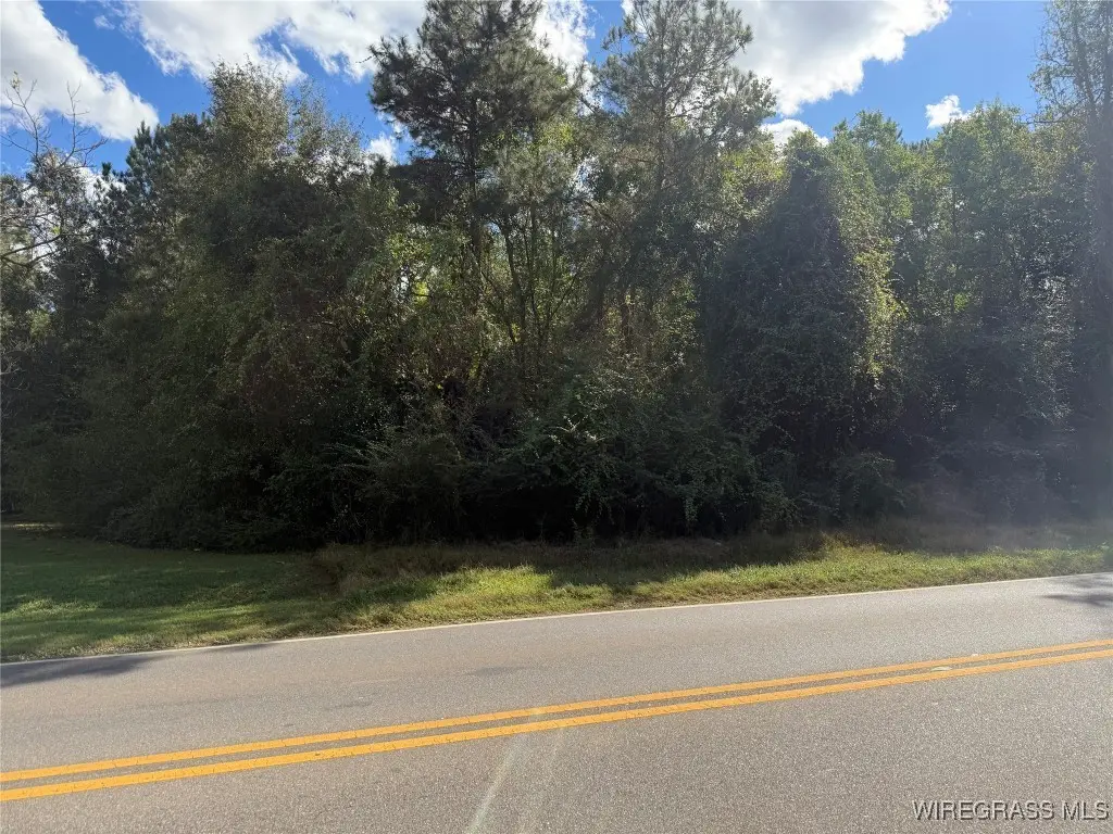 0 County Road 636, Enterprise, AL 36330 - Image #1