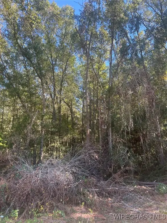 TBD County Road 105 Highway, Ozark, AL 36360