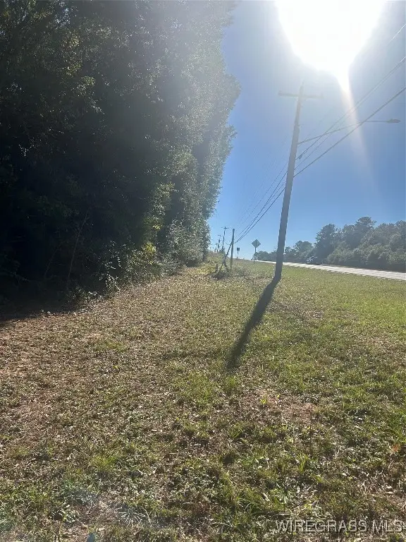 TBD Andrews Avenue, Ozark, AL 36360 - Image #2