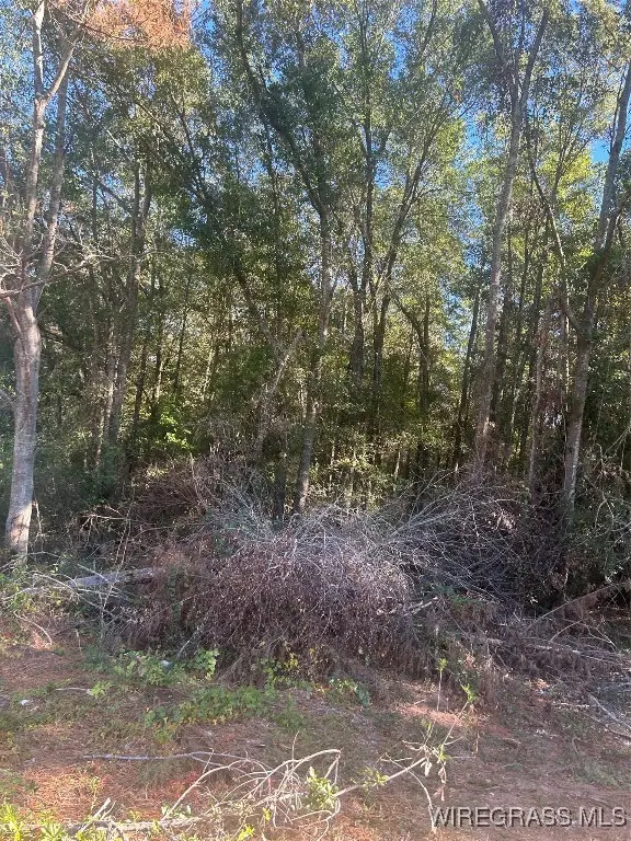 TBD Andrews Avenue, Ozark, AL 36360 - Image #3