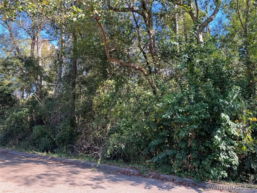 Lot 11 1/2 Lot 12 Berman Street, Andalusia, AL 36421 - Image #3
