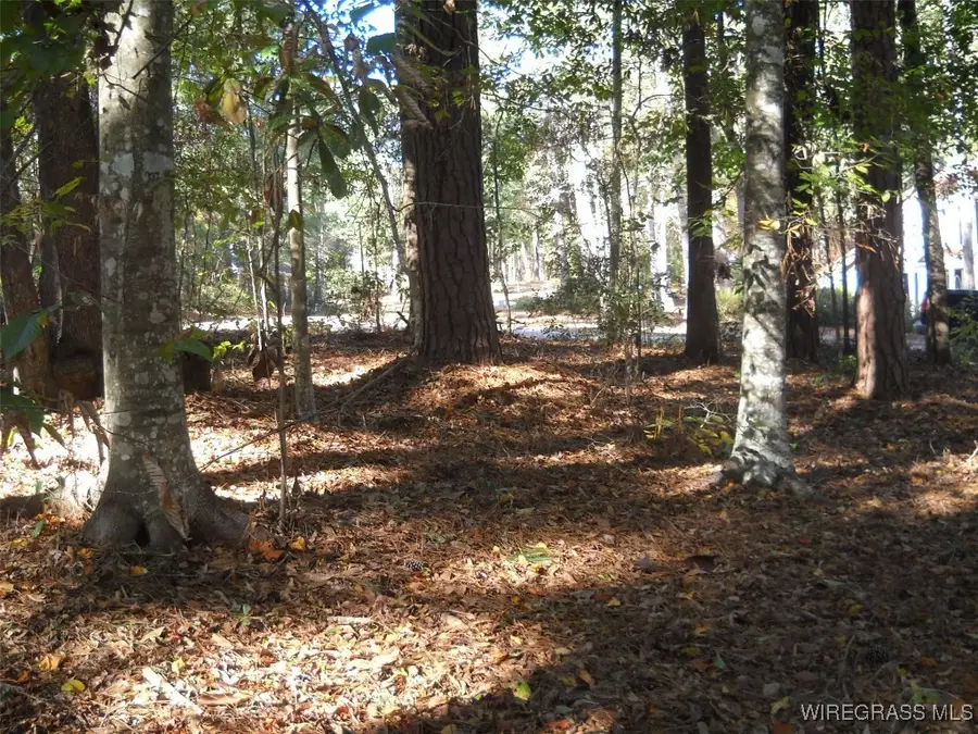 L.22&23 Pebble Creek Circle, Ozark, AL 36360 - Image #3