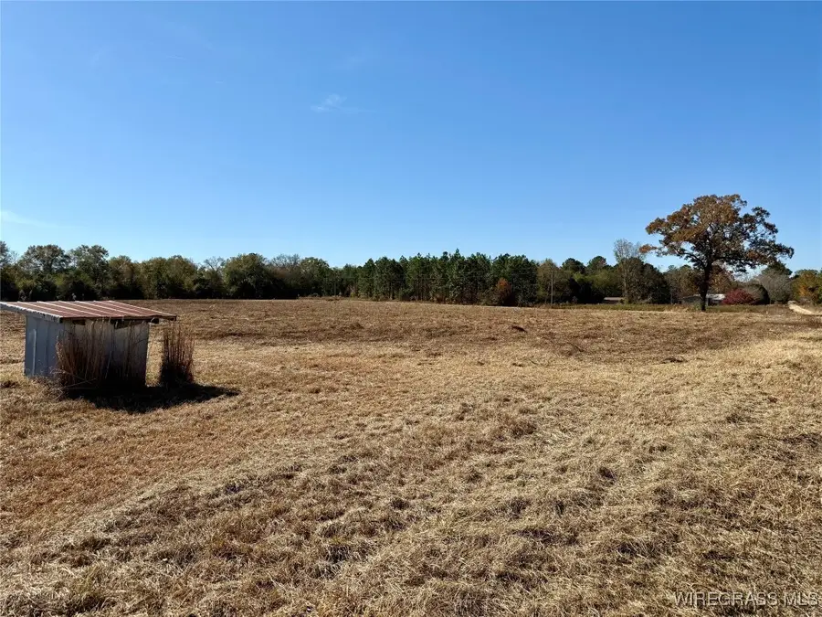 6.74 Acres Huskey Road, Dothan, AL 36303 - Image #3