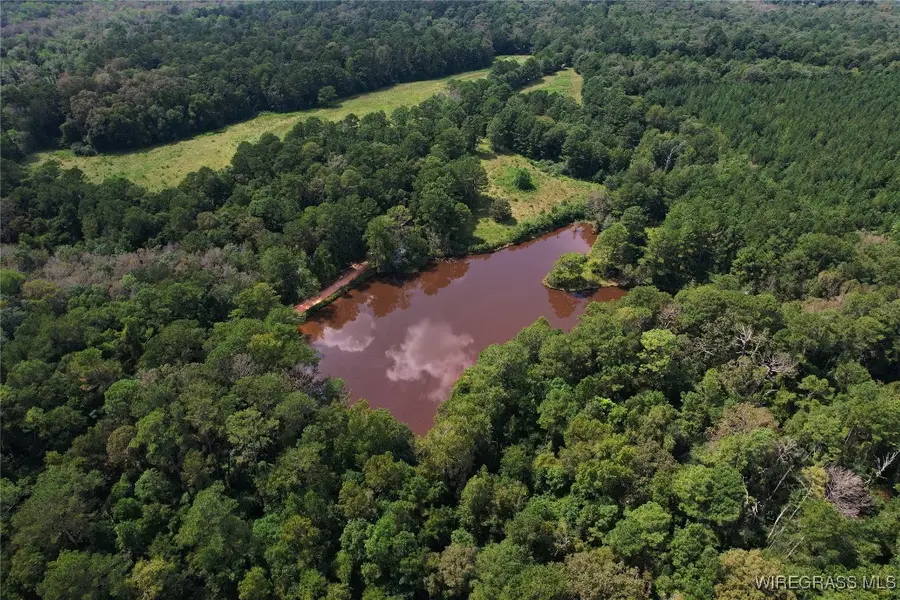 2217 Mcleod Road, Goshen, AL 36035 - Image #2