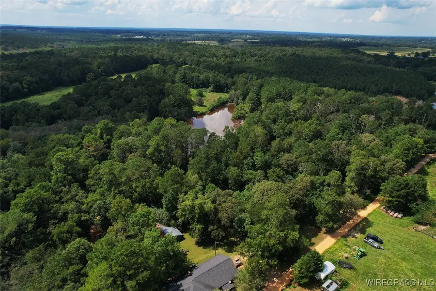 2217 Mcleod Road, Goshen, AL 36035 - Image #3