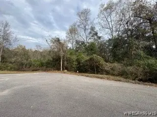 TBD Damascus Road, Enterprise, AL 36330 - Image #3