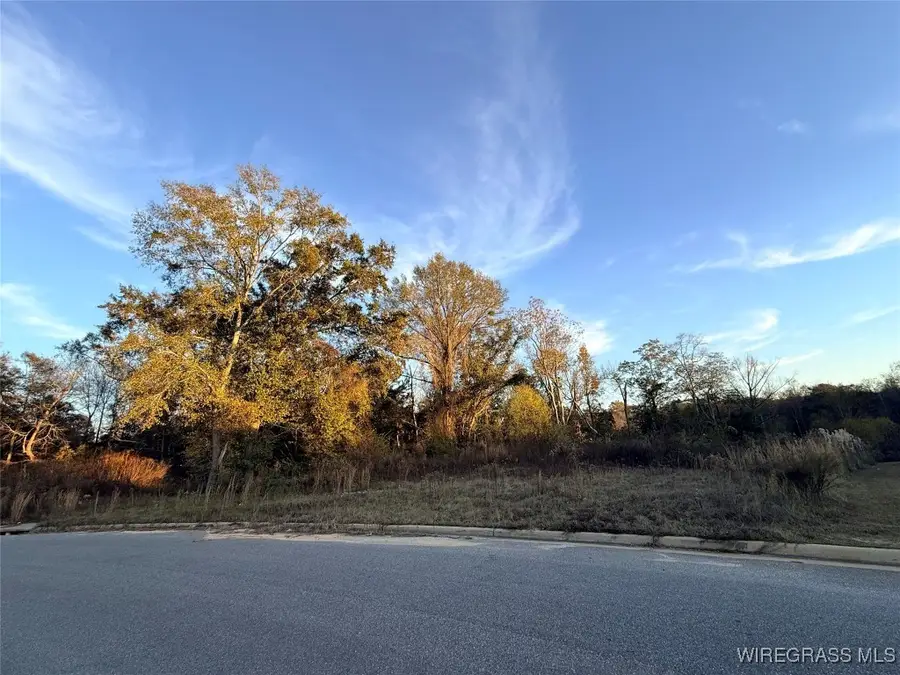 322 Lakes Drive, Enterprise, AL 36330 - Image #3