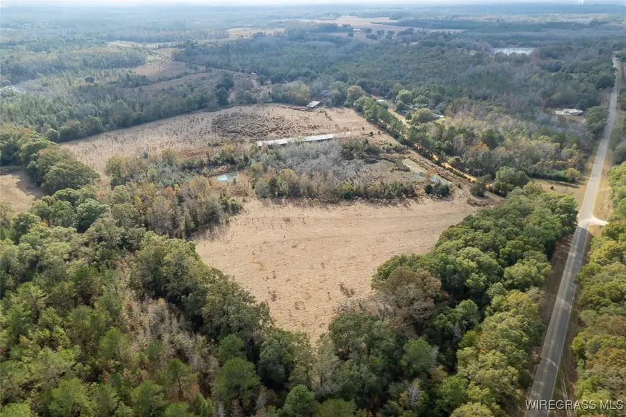 311 O Ashley Road, Samson, AL 36477 - Image #2