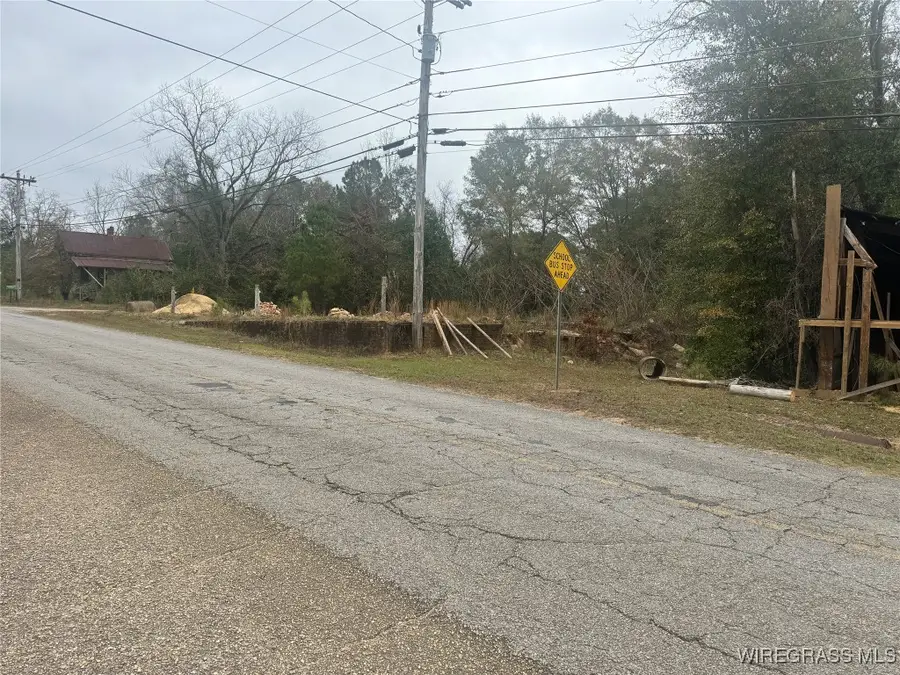31487 County Road 107 Road, Red Level, AL 36474 - Image #3