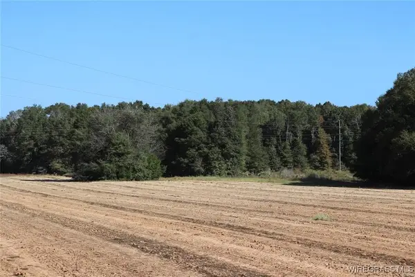 106 Acres County Road 705, Enterprise, AL 36330