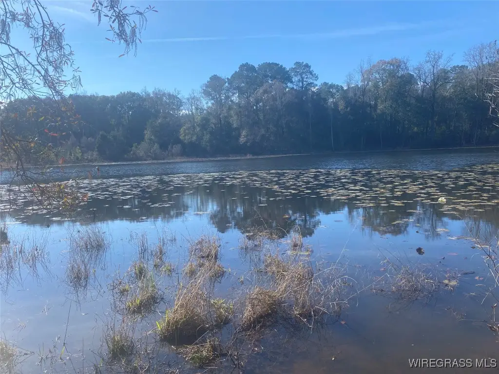 805 Lessie Culpepper Road, Coffee Springs, AL 36318 - Image #1