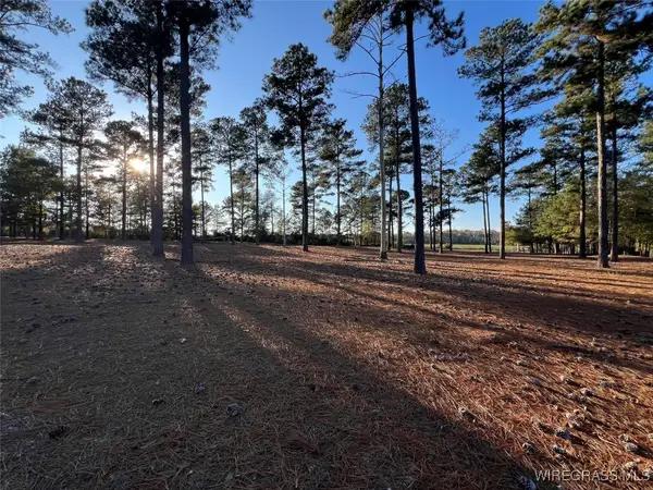 0 Morgan Mill Road, Brantley, AL 36009