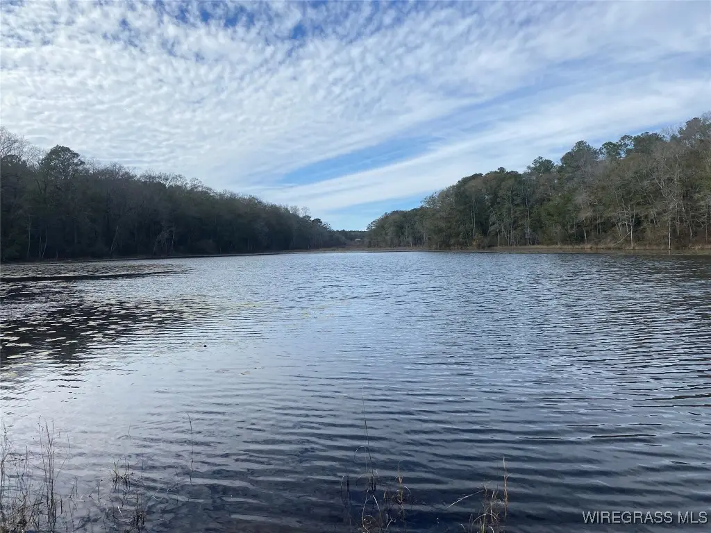 635 Lessie Culpepper Road, Coffee Springs, AL 36318 - Image #1