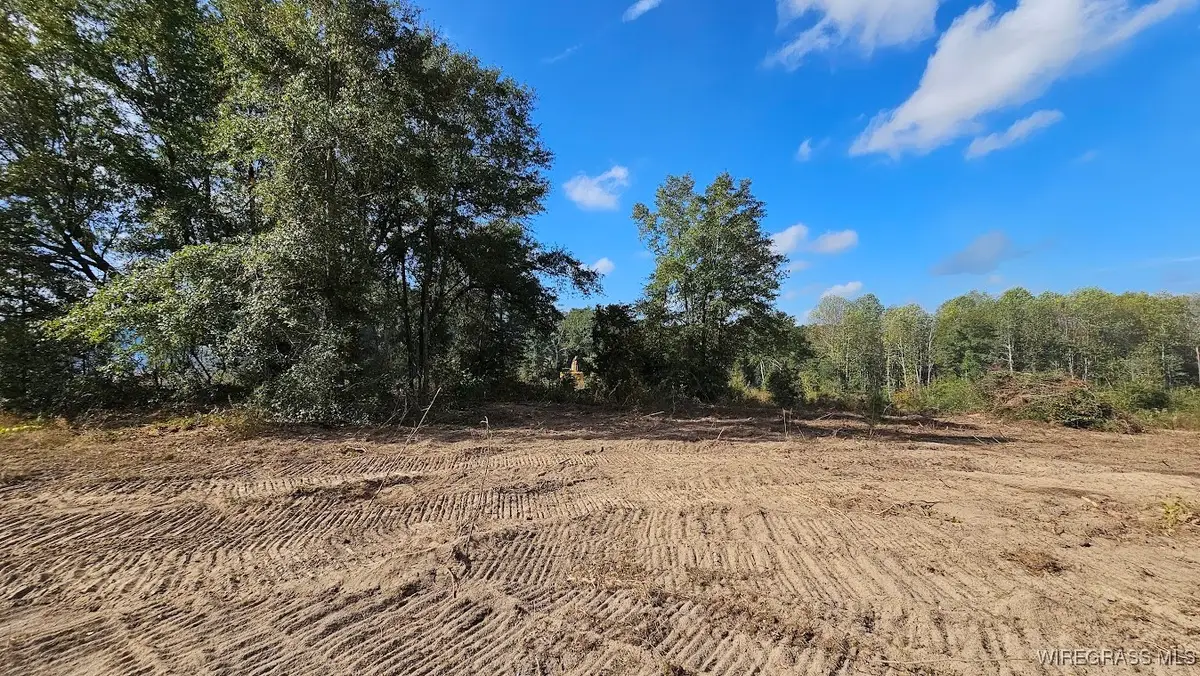 1 Acre Lot Ammons Pond Road, Midland City, AL 36350 - #1