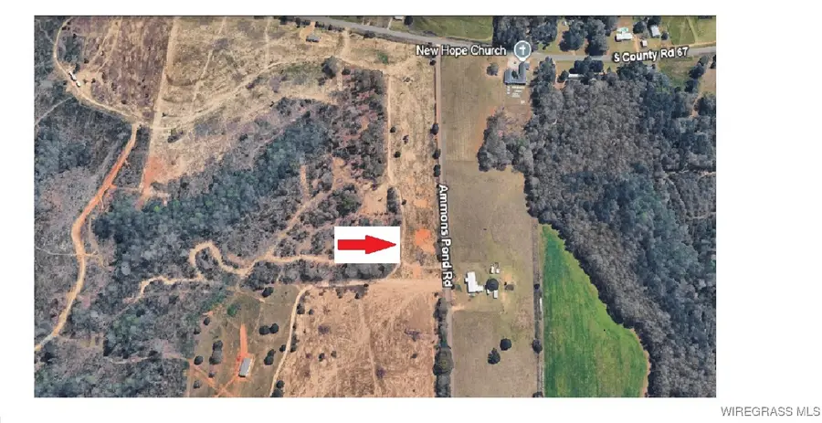 1 Acre Lot Ammons Pond Road, Midland City, AL 36350 - #2