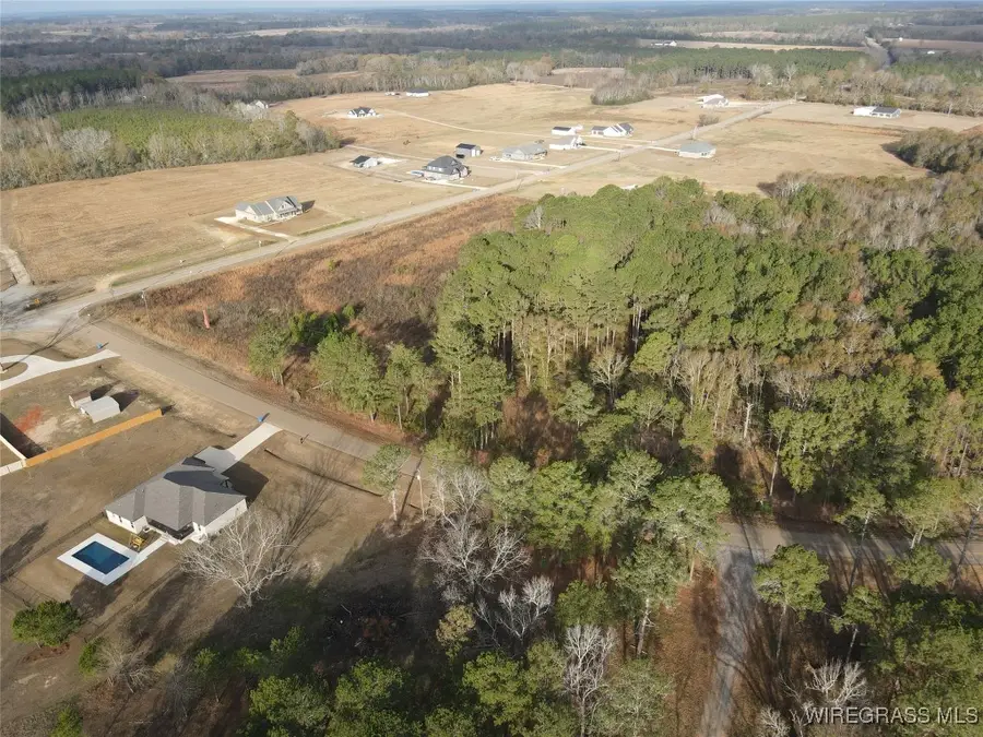 0 County Road 625, New Brockton, AL 36351 - Image #3