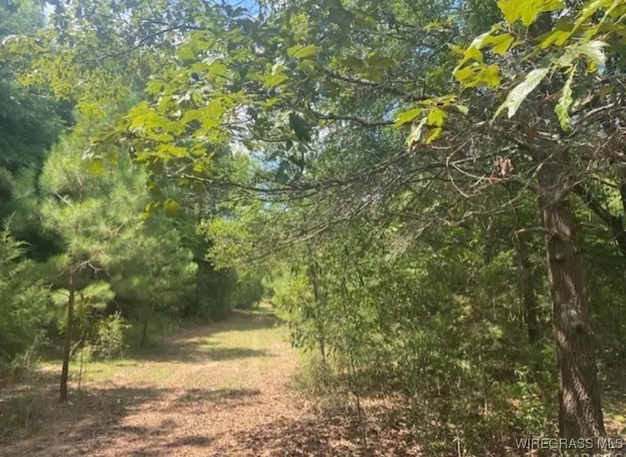 TBD Averett Road, Enterprise, AL 36330 - Image #2