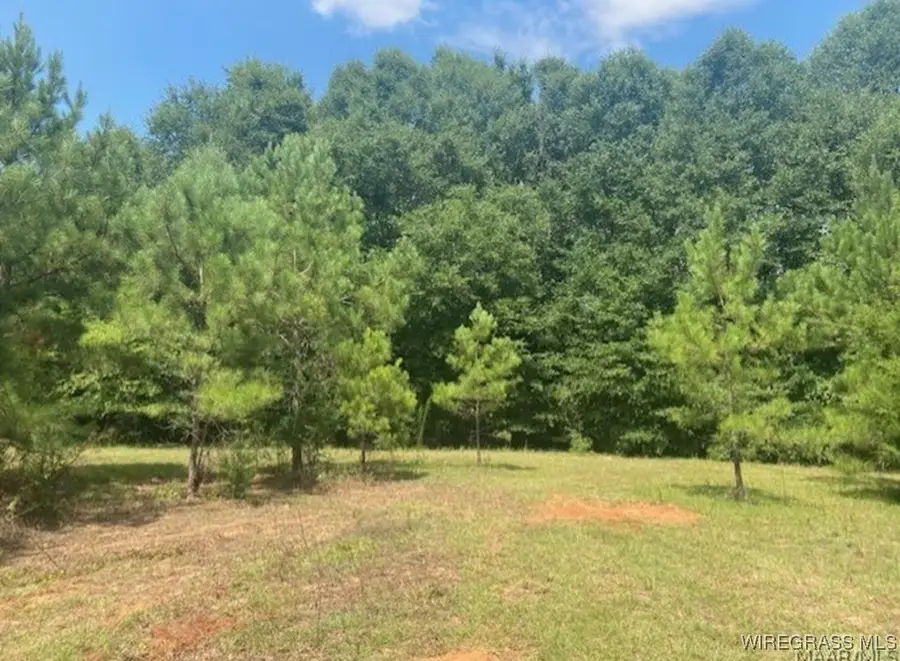 TBD Averett Road, Enterprise, AL 36330 - Image #3