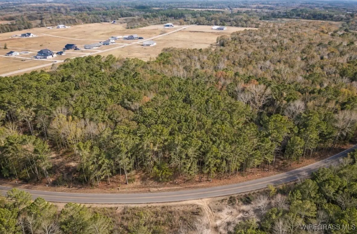 0 County Road 603, New Brockton, AL 36351 - Image #1