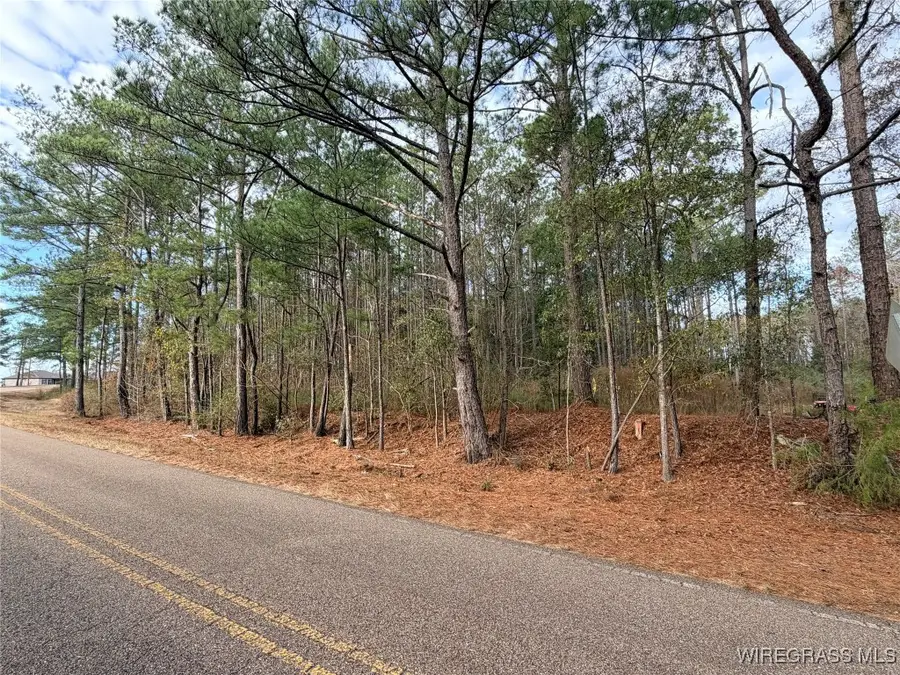 0 County Road 603, New Brockton, AL 36351 - Image #2