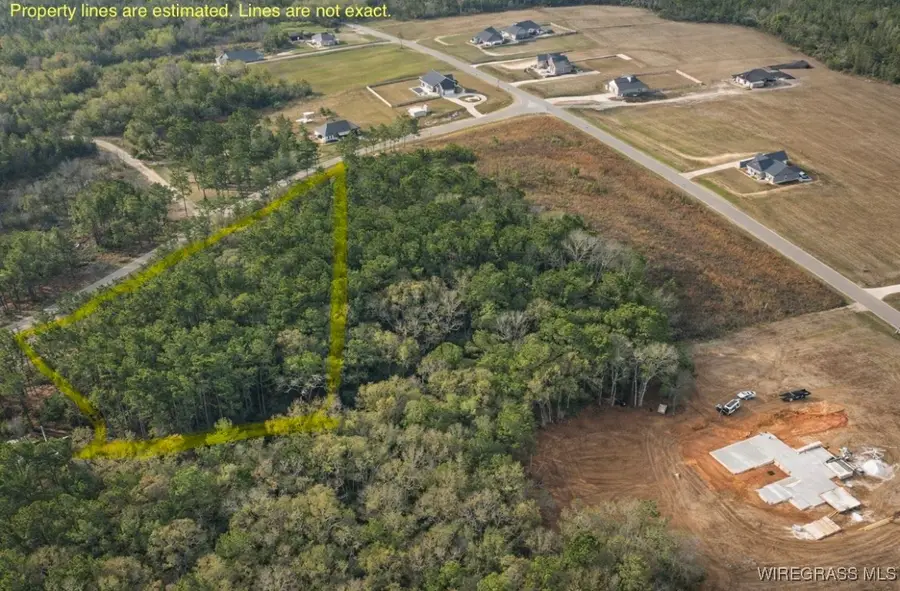 0 County Road 603, New Brockton, AL 36351 - Image #3