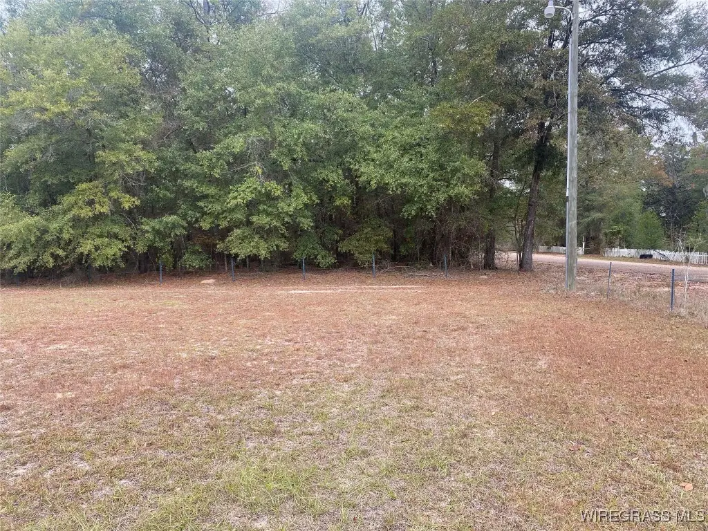 100 Gum Street, Gordon, AL 36301 - Image #1