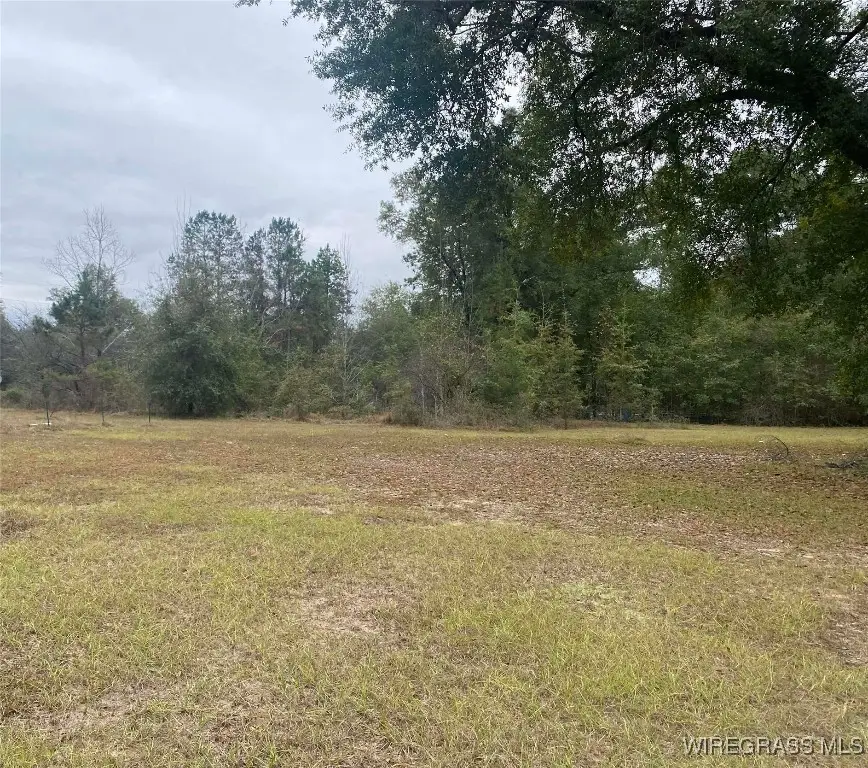 100 Gum Street, Gordon, AL 36301 - Image #3