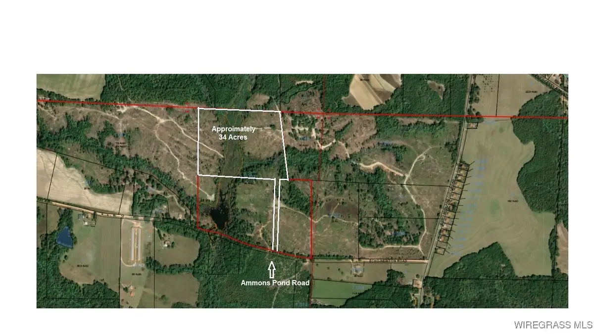 34 Acres Ammons Pond Road, Midland City, AL 36350 - Image #1