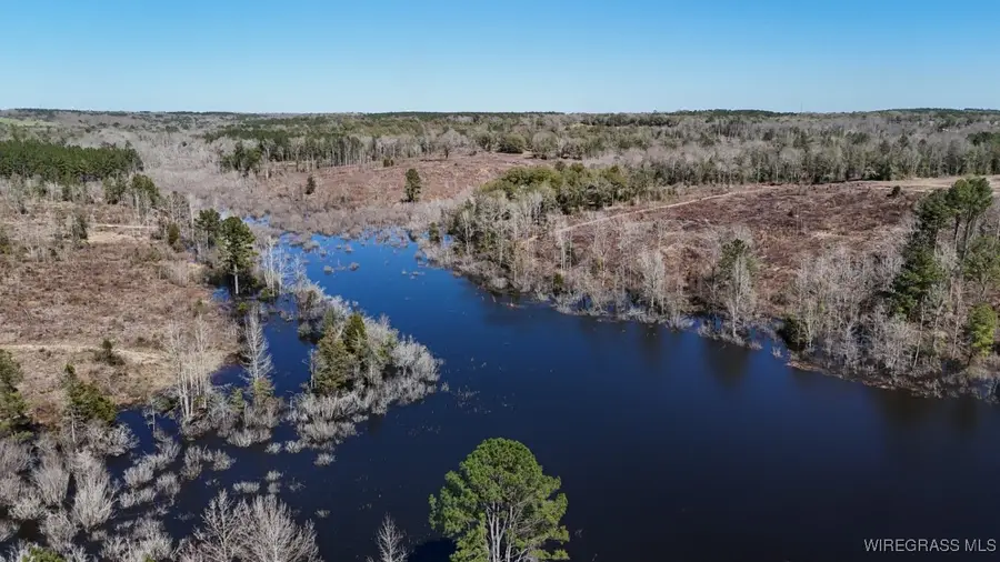 34 Acres Ammons Pond Road, Midland City, AL 36350 - Image #2