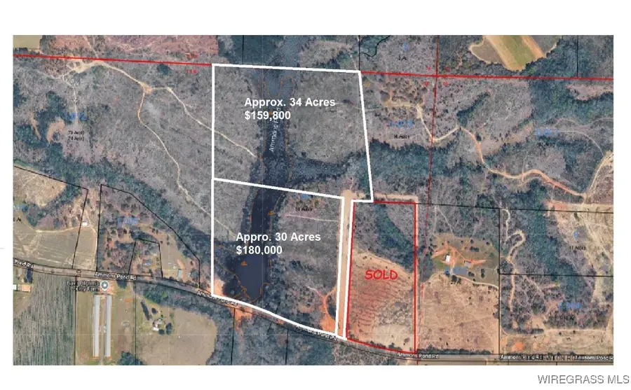 34 Acres Ammons Pond Road, Midland City, AL 36350 - Image #3
