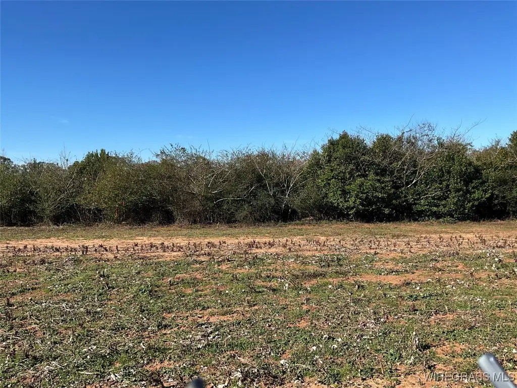 1321 County Road 712 Road, Enterprise, AL 36330 - Image #1