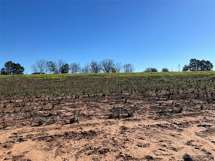 1321 County Road 712 Road, Enterprise, AL 36330 - Image #2