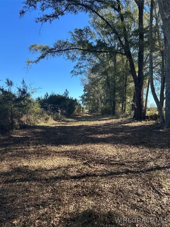 1321 County Road 712 Road, Enterprise, AL 36330 - Image #3