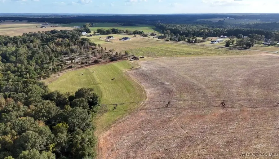 4010 County Road 712 Road, Enterprise, AL 36330 - Image #3